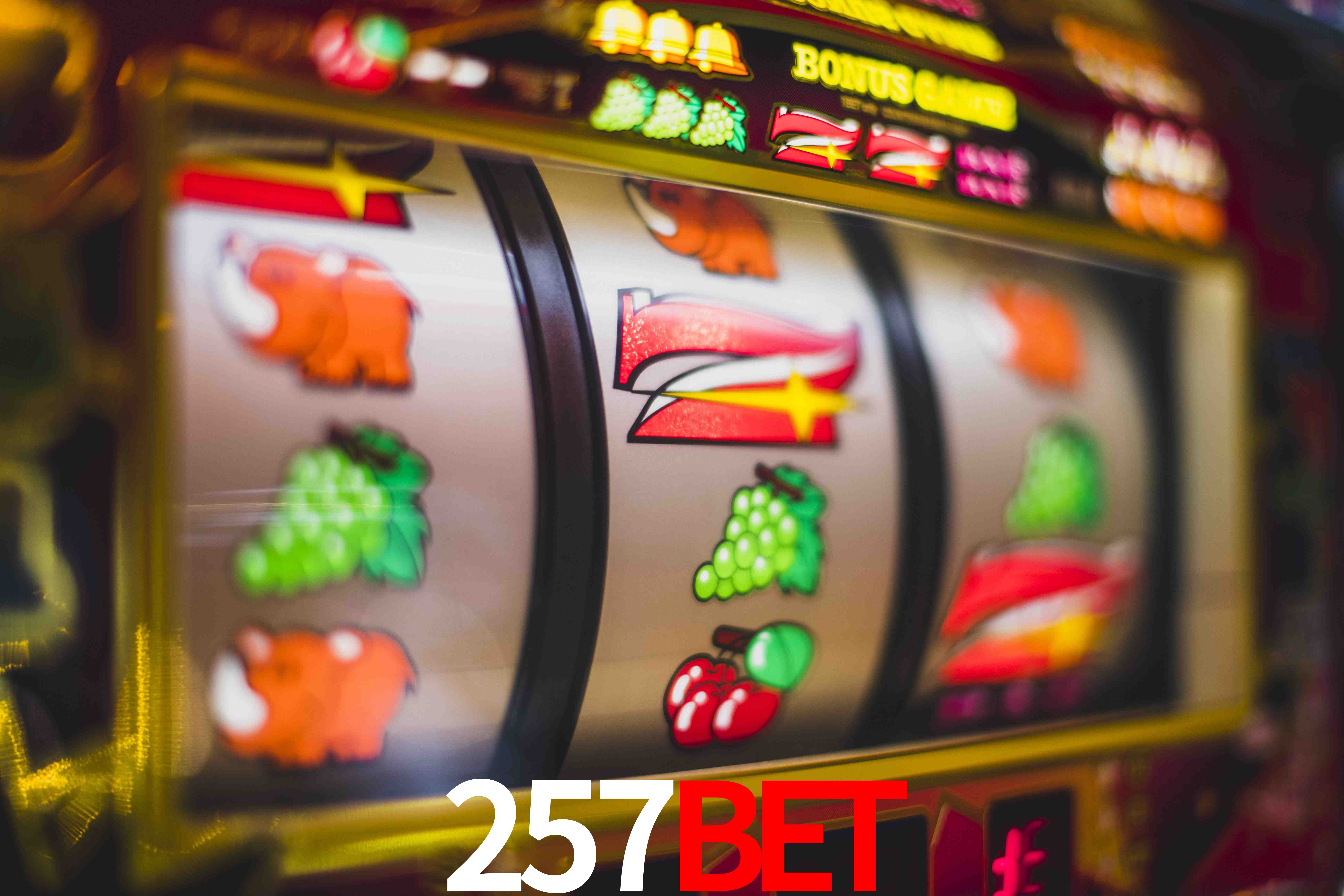 VIP Casino 257bet